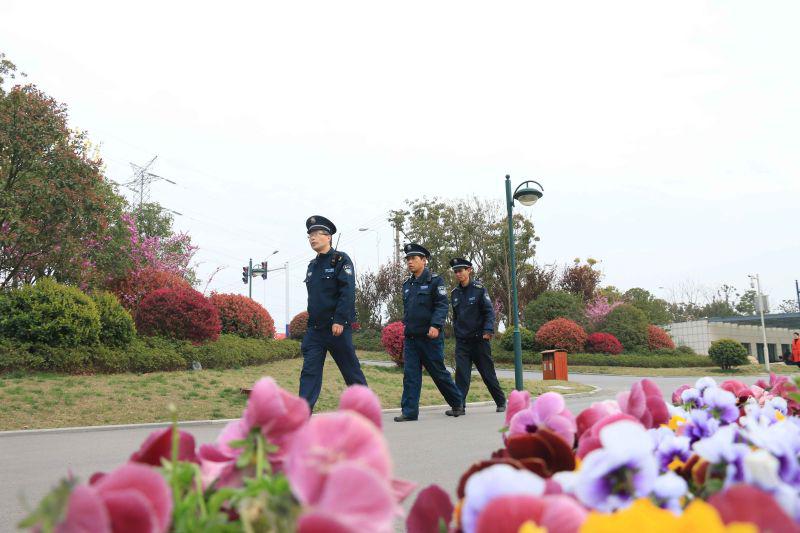 人力大队